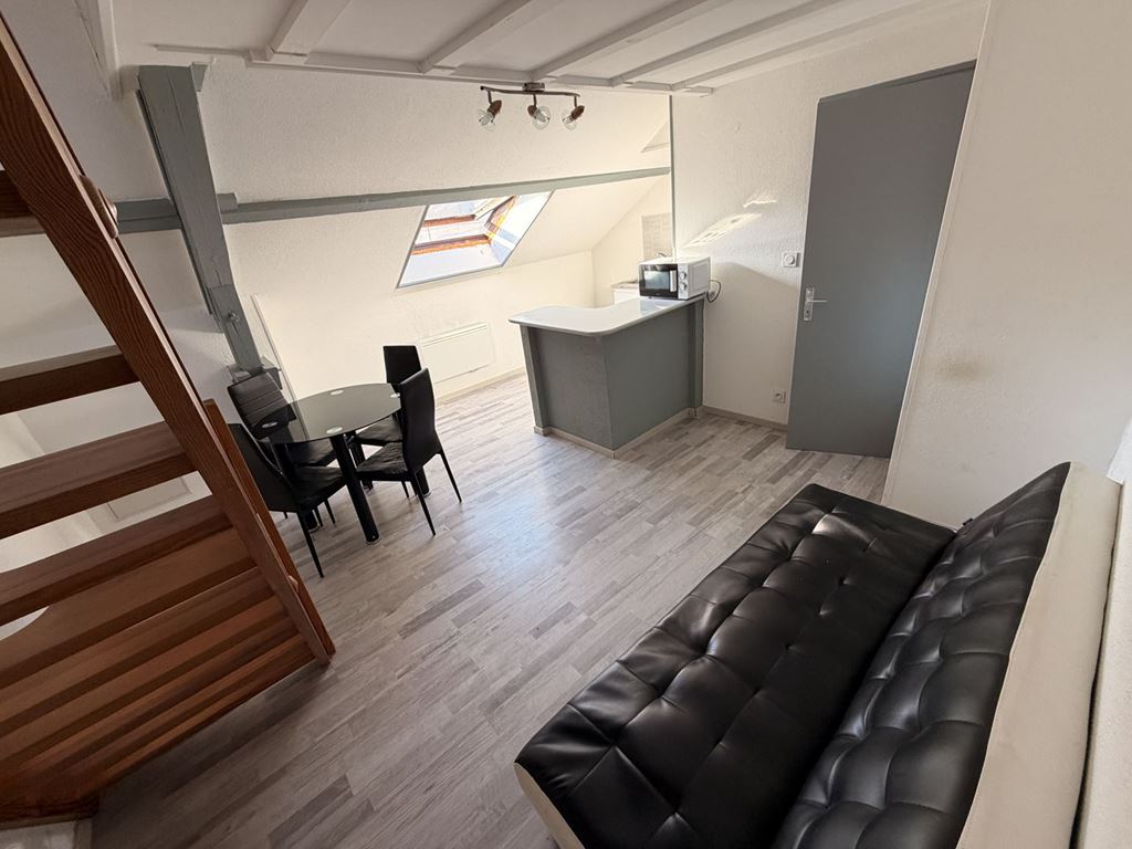 Appartement Studio ECHENOZ LA MELINE 290€ ROUGE IMMOBILIER Appartement Studio ECHENOZ LA MELINE 290€ ROUGE IMMOBILIER